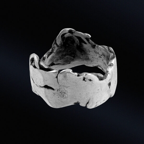 Algedi - Image 2