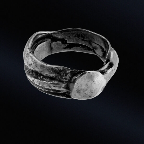 Castor - Image 2